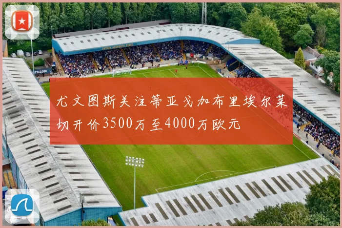 尤文图斯关注蒂亚戈加布里埃尔莱切开价3500万至4000万欧元