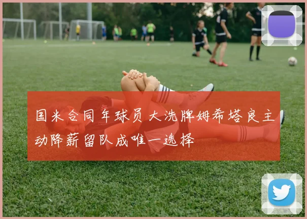 国米合同年球员大洗牌姆希塔良主动降薪留队成唯一选择
